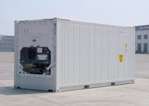 Container lạnh 20RF