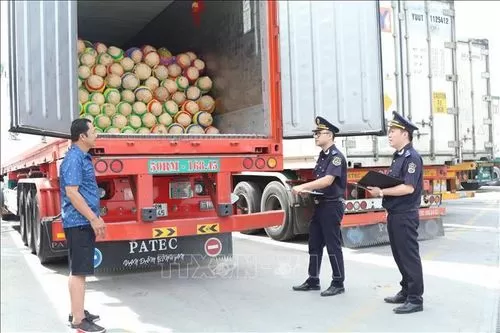 thu&ecirc; container số lượng lớn Hải Ph&ograve;ng theo m&ugrave;a vụ