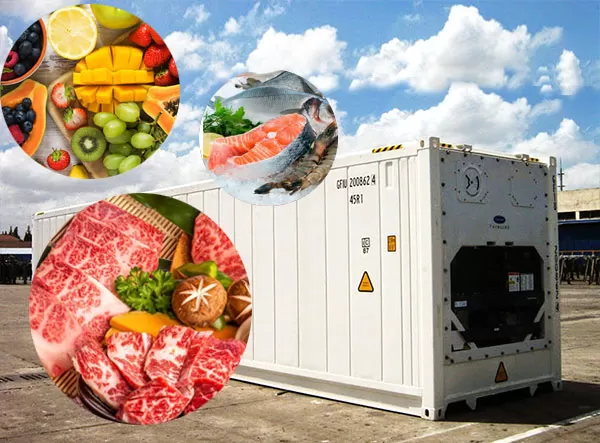 container chứa h&agrave;ng logistics Hải Ph&ograve;ng cho h&agrave;ng lạnh