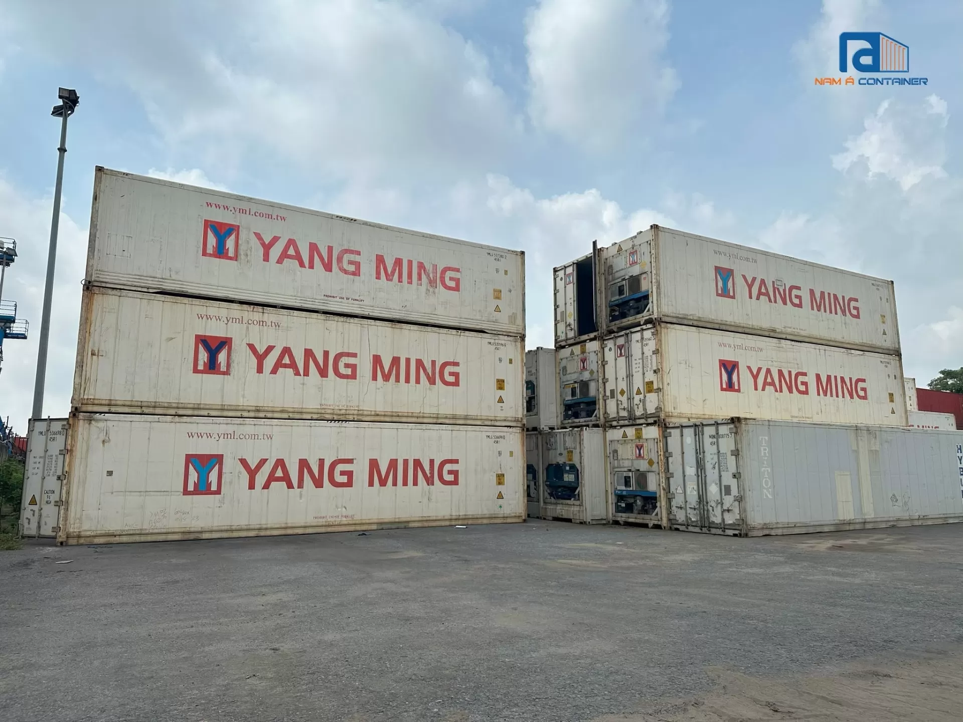 Thuê Container Lạnh 40 Feet Bảo Quản Thủy Sản Mùa Cao Điểm Tại Hải Phòng