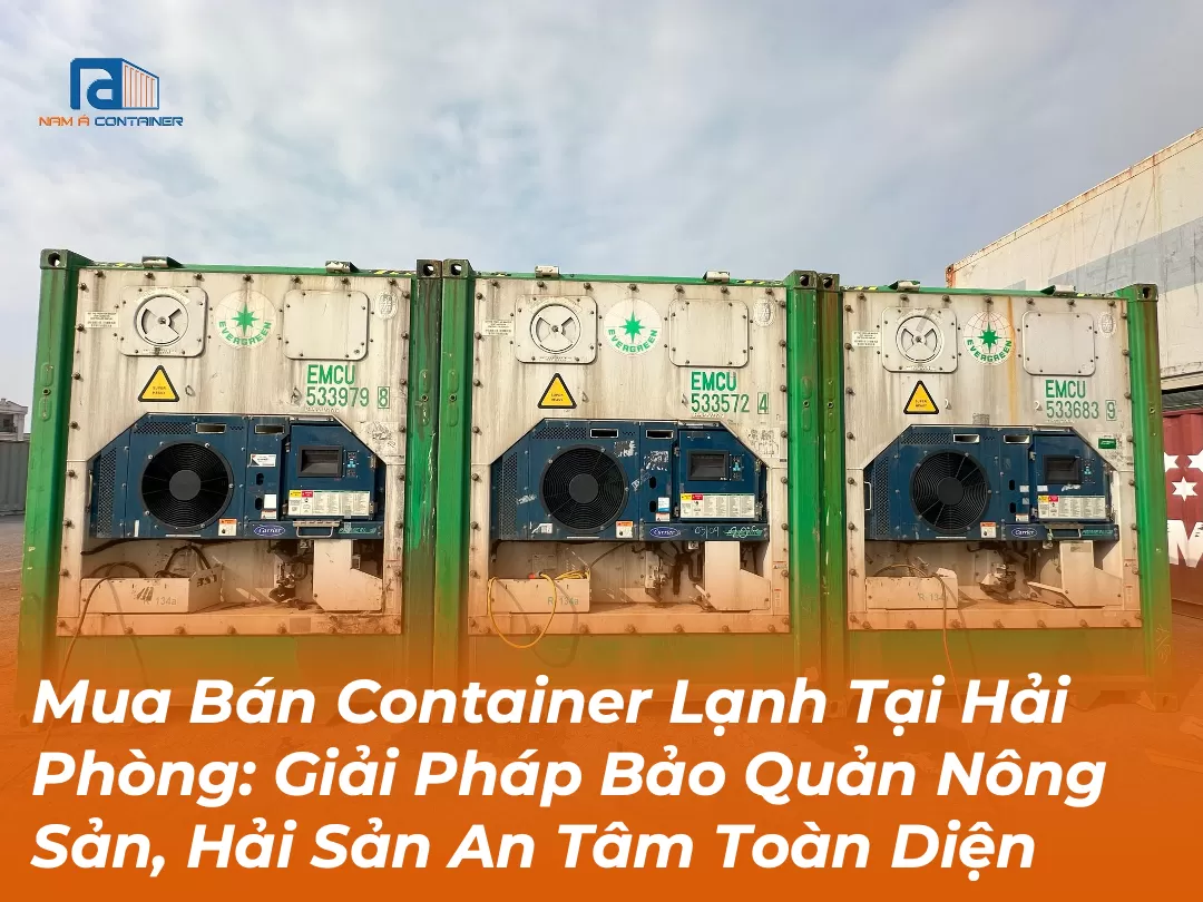Mua Bán Container Lạnh Tại Hải Phòng: Giải Pháp Bảo Quản Nông Sản, Hải Sản An Tâm Toàn Diện
