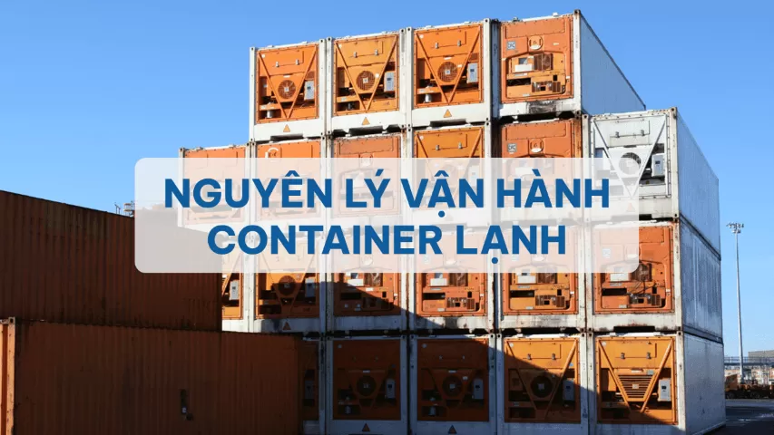 NGUYÊN LÝ VẬN HÀNH CONTAINER LẠNH