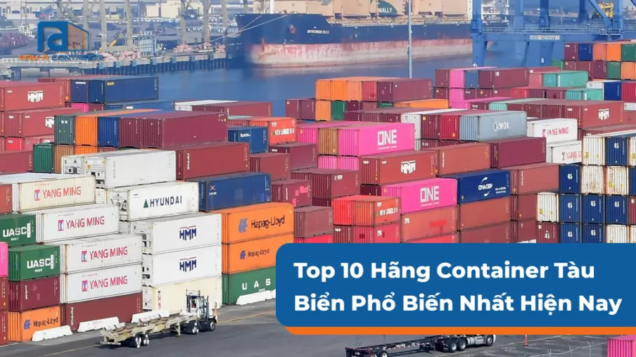 Top 10 Hãng Container Tàu Biển Phổ Biến Nhất Hiện Nay
