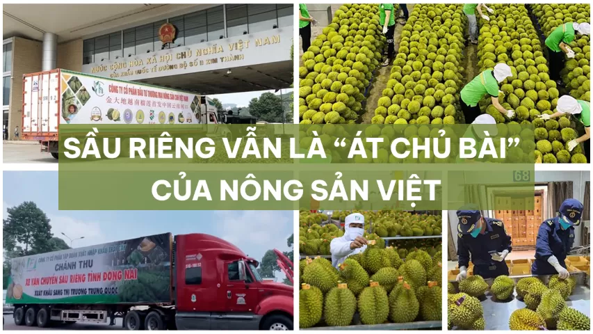 SẦU RIÊNG VẪN LÀ “ÁT CHỦ BÀI” CỦA NÔNG SẢN VIỆT