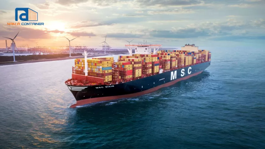 Cargo Container là gì? Phân biệt các thuật ngữ container đặc biệt?